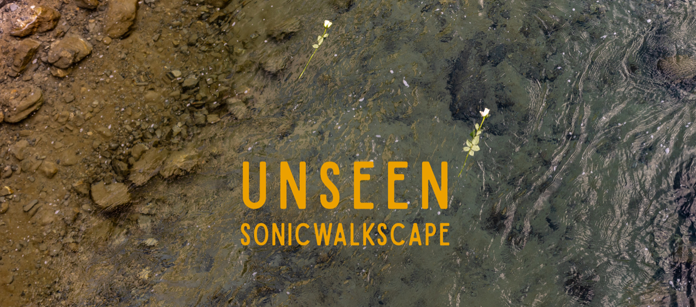 Sonic WalkScape